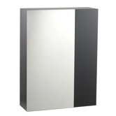 Studio Medicine Cabinet with Mirror in Espresso
