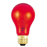 25W Transparent A19 Bulb in Red