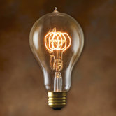 A21 Incandescent Nostalgic Edison Bulb
