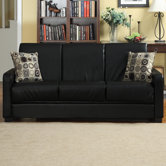 Sleeper Sofa