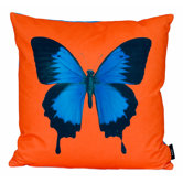 Center Of Attention Pillow