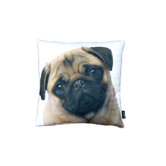 Stella Pug Pillow