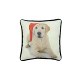 Holiday Lab Pillow