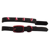 Genuine Leather Cat and Puppy Collar with Spikes