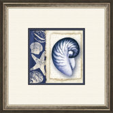 Blue Shell B Framed Art