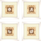 Coastal Stylized Shell Framed Art (Set of 4)