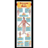 Systems Of The Body Colossal Poster