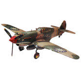 1:48 P-40B Tiger Shark
