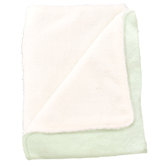 Soft and Snuggly Blanket in Sage