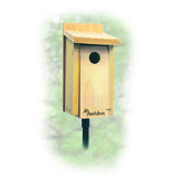 Bluebird House