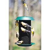 Magnum Thistle Feeder in Green