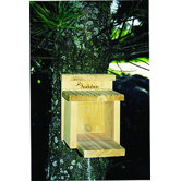 Squirrel Munch Box in Tan