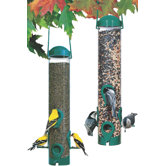 Any Seed Tube Feeder