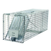 Proffessiona Raccoon Trap