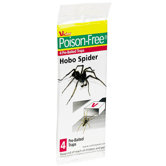 Hobo Spider Trap (Set of 4)
