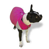Spring Slicker Dog Coat in Fuchsia