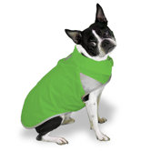 Spring Slicker Dog Coat in Lime Sherbet