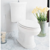 Archive Elongated Toilet in White