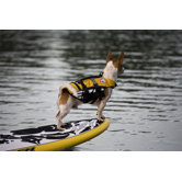 Doggy Floatation Device in Yellow
