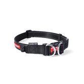 Double Up Dog Collar