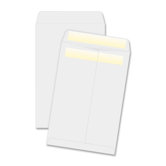 Catalog Envelope (100 Per Box)