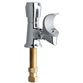 Drinking Fountain Faucet with Anti Microbial Flexible Projector Head in Polished Chrome