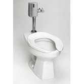 Commercial Flushometer Het with Sanagloss