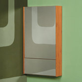 Eastridge Medicine Cabinet in Bamboo