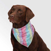 Confetti Collection Bandana