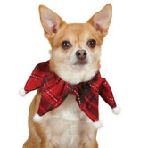 Yuletide Tartan Scrunchy Dog Neckware