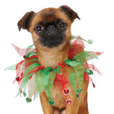 Aria Dog And Cat Costumes