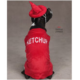 Ketchup Dog Costume