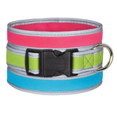 Reflective Neoprene Dog Collar