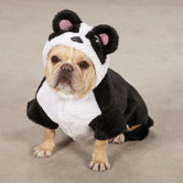 Panda Pup Costume in Black