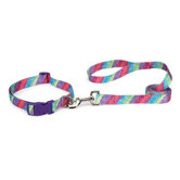 Confetti Print Dog Collars