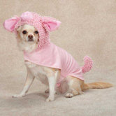 Porky Pup Dog Costume