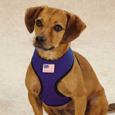 Neoprene Harness