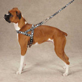 Xtrm Logo Harness