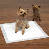 Maximum Absorbency Dog Puppy Pads