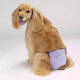 Female Dog Pup Pants