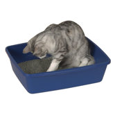 Cat Litter Pan (Pack of 6)