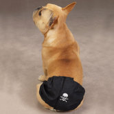 Male K-9 Pet Wrap