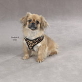 Plush Print Dog Harness