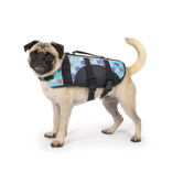 Fashionable Life Preserver for Dogs