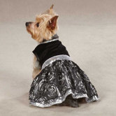 Glam Dog Dress