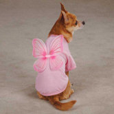 Fairy Dust Dog Tee