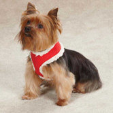 Jolly Dog Harness