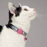 Fruit Frenzy Cat Collar