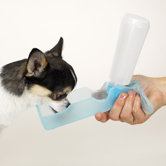Mini Handi-Drink-Dog Travel Bowl