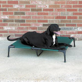 Pet Cot